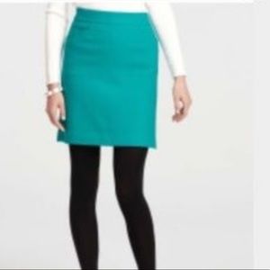 🌸 Ann Taylor Like New Wool Skirt, Gorgeous Shade